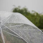 Carros de la compra para la lluvia